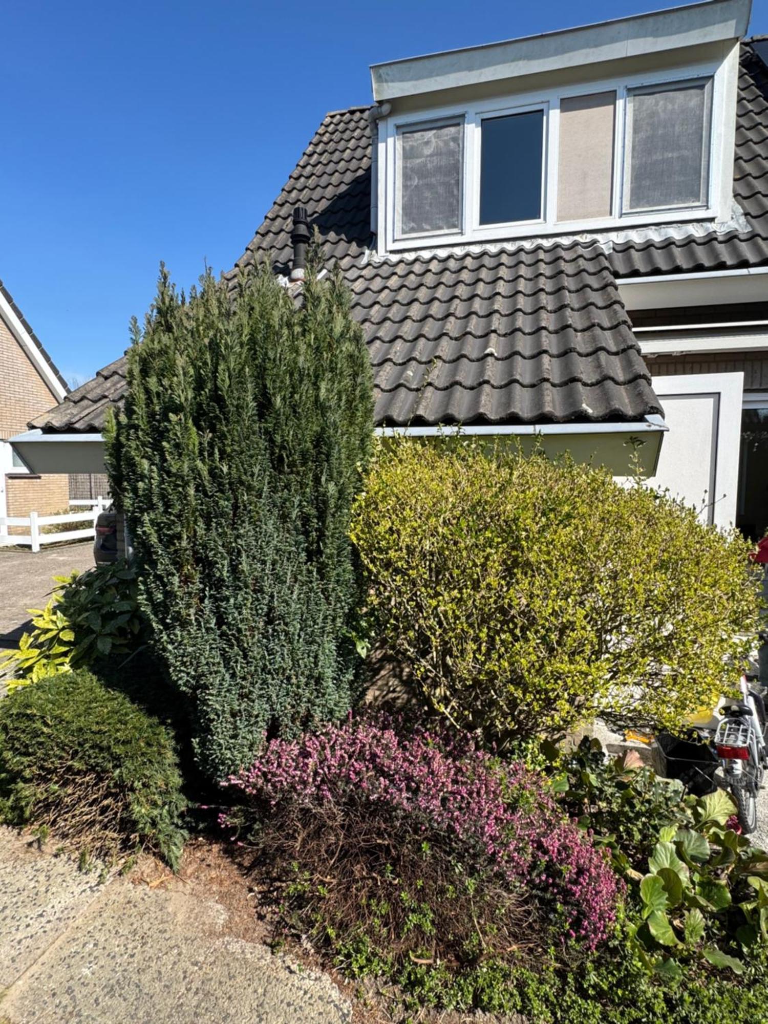 Huebsches Ferienhaus In Ouddorp - Fusslaeufig Zum Strand Und Zentrum מראה חיצוני תמונה